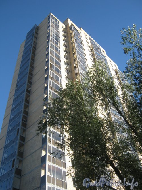 Ул. Руднева, дом 9, корпус 3. Общий вид с ул. Руднева на верхнюю часть здания. Фото 4 сентября 2012 г.