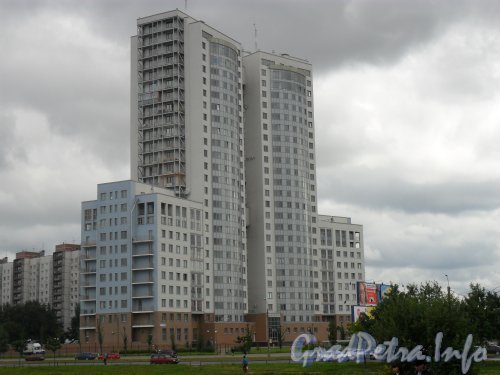 Бухарестская ул., дом 110. Жилой комплекс «Двин Пикс». Фото август 2011 года.