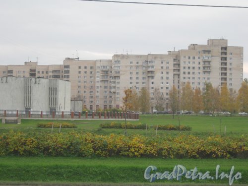 Ул. Чекистов, дом 20. Общий вид с Петергофского шоссе. Фото 19 октября 2012 г.
