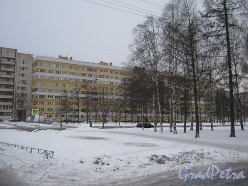 Ул. Партизана Германа, дом 41. Фрагмент фасада здания. Фото 6 января 2013 г.