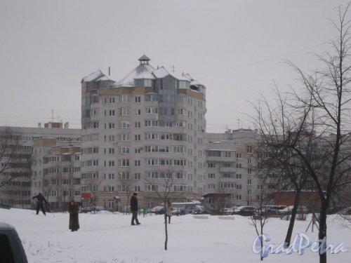 Ул. Кустодиева, дом 17. Общий вид с ул. Руднева. Фото 25 января 2013 г.