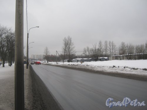 Перспектива улицы Руставели от проспекта Луначарского в сторону улицы Карпинского. Фото 30 января 2013 г.