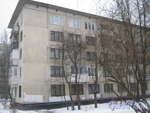 Ул. Лужская, дом 4, корпус 2. Фрагмент фасада. Фото 30 января 2013 г.