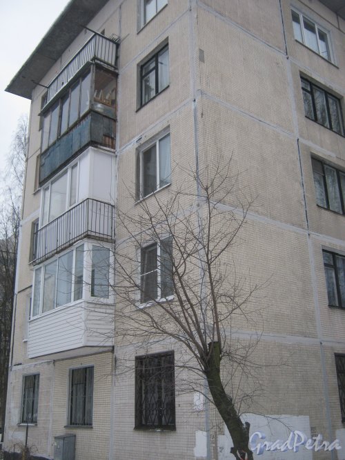 Ул. Лужская, дом 4, корпус 2. Фрагмент здания. Фото 30 января 2013 г.