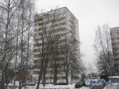 Ул. Лужская, дом 8. Общий вид со стороны дома 4, корпус 2. Фото 30 января 2013 г.