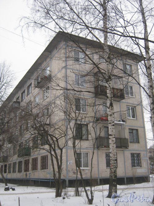 Ул. Лужская, дом 6. Общий вид со стороны дома 4, корпус 2. Фото 30 января 2013 г.