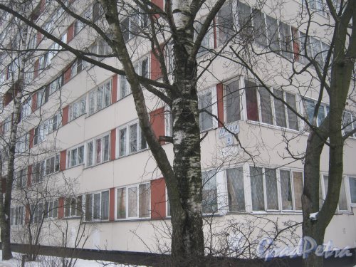 Ул. Лужская, дом 4, корпус 1. Угол дома со стороны фасада. Фото 30 января 2013 г.