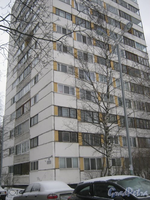 Ул. Лужская, дом 8. Угол дома со стороны фасада. Фото 30 января 2013 г.