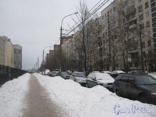 Киришская улица. Перспектива в сторону улицы Черкасова. Фото 30 января 2013 г.