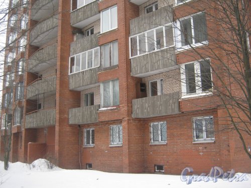 Ул. Киришская, дом 9. Общий вид нижней части здания. Фото 30 января 2013 г.