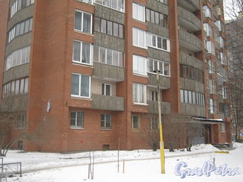 Ул. Киришская, дом 11. Общий вид нижней части здания. Фото 30 января 2013 г.