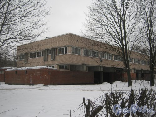 Ул. Черкасова, дом 23. Общий вид фасада. Фото 30 января 2013 г.