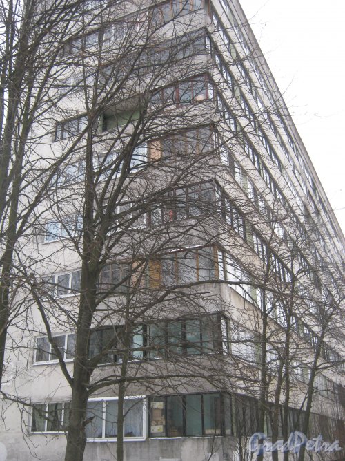 Ул. Черкасова, дом 19, корпус 1. Фрагмент фасада. Фото 30 января 2013 г.