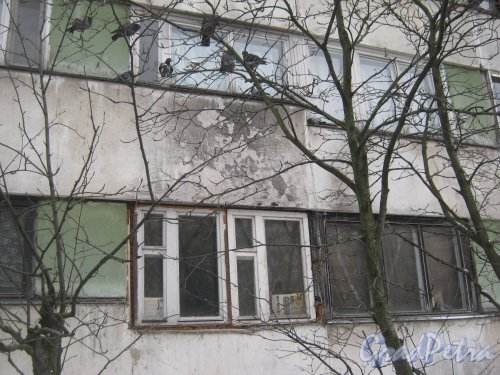 Ул. Черкасова, дом 19, корпус 1. Фрагмент фасада (след от пожара). Фото 30 января 2013 г.