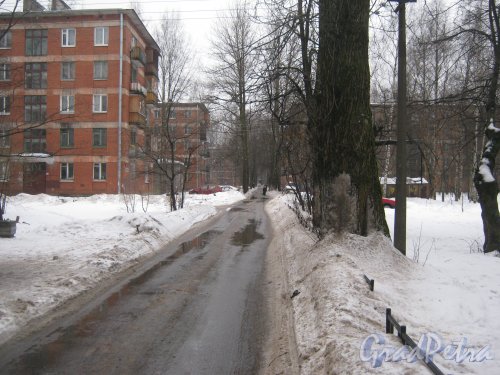 Зелёная улица. Перспектива от дома 61 корпус 2 по Светлановскому проспекту (слева) в сторону проспекта Раевского. Фото 8 февраля 2013 г.