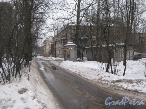 Зелёная улица. Перспектива в районе дома 61 корпус 2 по Светлановскому пр. (слева) в сторону Тихорецкого пр. Фото 8 февраля 2013 г.