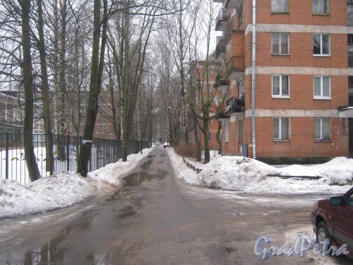 Зелёная улица. Перспектива в районе дома 57 по Светлановскому пр. (слева) в сторону пр. Раевского. Фото 8 февраля 2013 г.