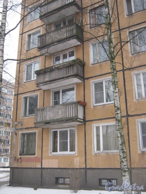 Ул. Черкасова, дом 10, корпус 1. Фрагмент фасада. Фото 30 января 2013 г.
