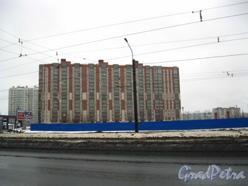 Ул. Бадаева, дом 6. Общий вид жилого дома от улицы Коллонтай. Фото февраль 2013 г.