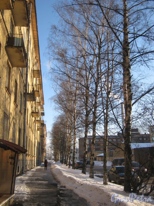 Ул. Капитана Воронина, дом 8. Пешеходная дорожка вдоль фасада здания. Фото 5 февраля 2013 г.