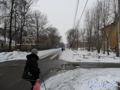 Перспектива Добрушской улицы. Фото февраль 2013 г.