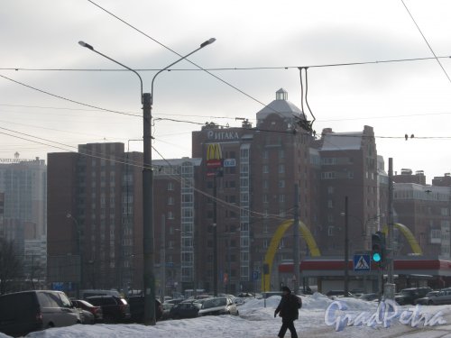 Ул. Сикейроса, дом 1. Общий вид с трамвайной остановки «метро Озерки» со стороны Выборгского шоссе. Фото 21 февраля 2013 г.