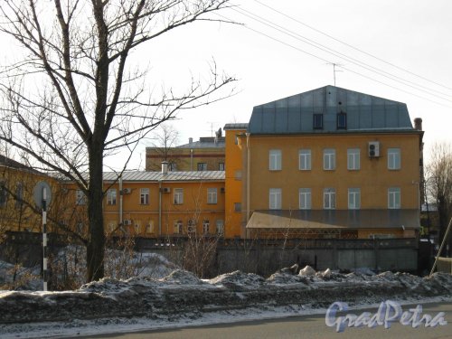 Днепропетровская улица, дом 14, литера Б. Вид со стороны набережной реки Волковки. Фото 8 марта 2013 г.