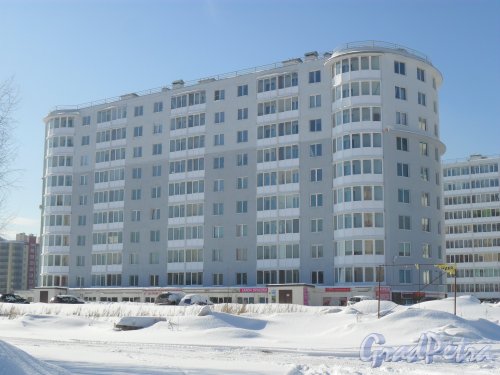 Улица Доктора Сотникова, дом 1. Вид со стороны улицы Доктора Сотникова. Фото 21 марта 2013 г.