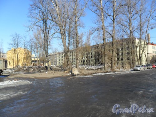 Улица Бумажная, дом 8. Вид со двора.Свалка снега и мусора. Фото 29 марта 2013 г.