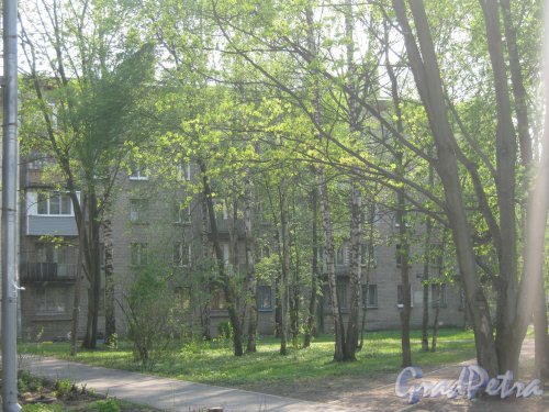 Караваевская ул., дом 33, корпус 2. Общий вид со стороны дома 35 и Караваевской ул. Фото 13 мая 2013 г.