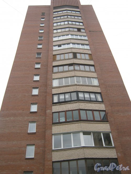 Будапештская ул., дом 108, корпус 2. Верхняя часть здания. Фото 17 мая 2013 г.