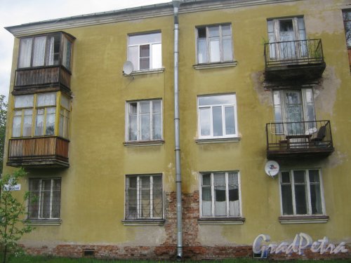 Ул. Лесопарковая, дом 14. Фрагмент фасада. Фото 17 мая 2013 г.