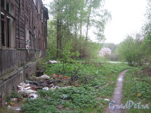 Братская ул., дом 2. Фрагмент расселённого дома и вид в сторону частных домов на Солнечной ул. Фото 17 мая 2013 г.