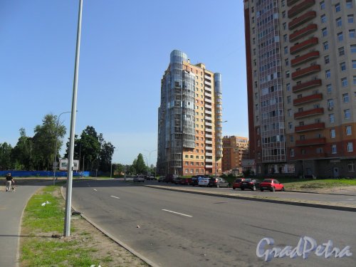 Улица Малая Десятинная, дом 11, литер А. Вид дома с Новоколомяжского проспекта. Фото 1 июня 2013 года.