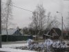Красное Село (Горелово), ул. Дачная. Общий вид с чётной стороны улицы на постройки в районе 23-27 домов. Фото 4 января 2014 г.