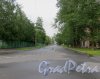 Начальный участок улицы Одоевского от Уральской улицы до Смоленского кладбища. Фото 7 июня 2014 года.