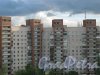 Ул. Веденеева, дом 4. Вид с 10 этажа дома 38, корпус 1 по Светлановскому пр. Фото 27 июня 2014 г.