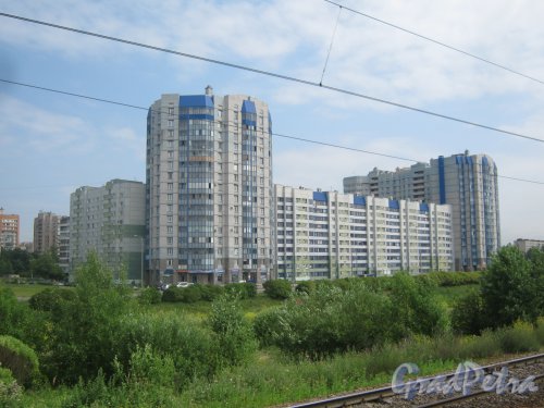 Белградская ул. Дома 52, корпус 1 (слева), 54 корпус 1 (в центре) и дом 3 по ул. Димитрова (справа). Вид из окна электрички. Фото 28 июня 2013 г.