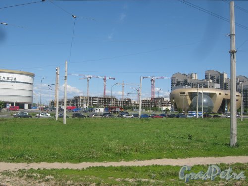 Ул. Адмирала Трибуца. Общий вид с Петергофского шоссе на здания в районе улицы. Фото 8 июля 2013 г.
