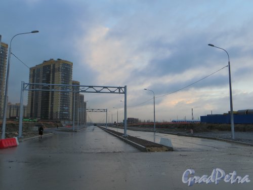 Перспектива улицы Фёдора Абрамова от улицы Михаила Дудина в сторону 4-го Верхнего переулка. Фото 9 ноября 2013 года.