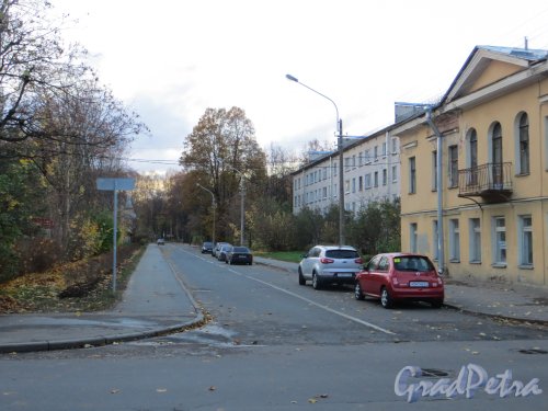 Перспектива улицы 1-го Мая от Конюшенной улицы в сторону улицы Васенко. Фото 13 октября 2013 г.