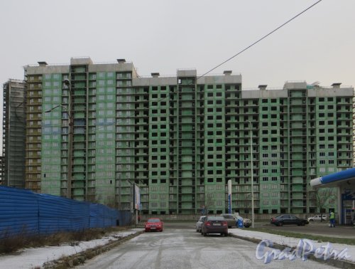 Кушелевская дорога, дом 1. Строительство жилого комплекса «Калина-парк». Фото 30 ноября 2013 г.