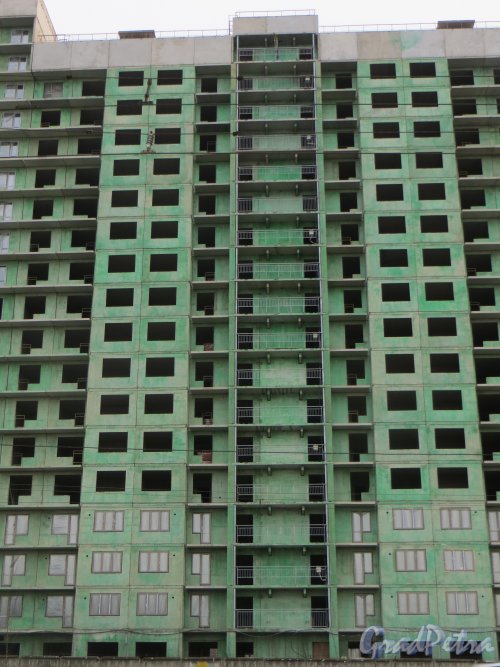 Кушелевская дорога, дом 1. Строительство жилого комплекса «Калина-парк». Фрагмент строящегося здания. Фото 30 ноября 2013 г.