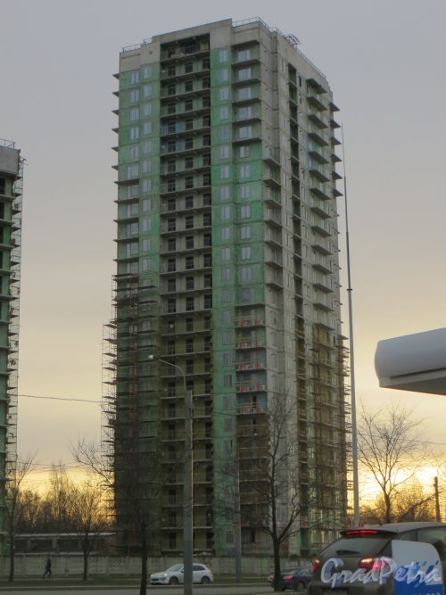 Кушелевская дорога, дом 1. Строительство жилого комплекса «Калина-парк». Отдельно стоящее высотное здание. Фото 30 ноября 2013 г.