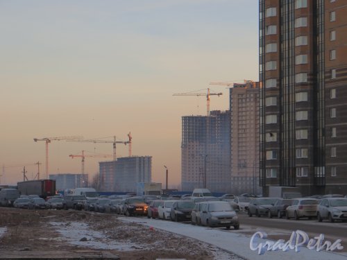 Перспектива Заречной улицы от улицы Михаила Дудина в сторону КАД ранним морозным утром. Фото 30 ноября 2013 г.