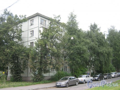Гранитная ул., дом 24. Общий вид здания с Новочеркасского пр. Фото 23 июля 2013 г.