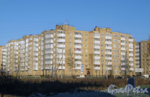 Красное Село, ул. Красногородская, дом 13, корпус 1. Общий вид здания. Фото 29 ноября 2013 г. 