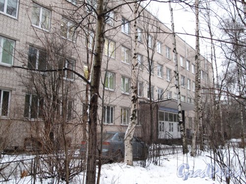 Софьи Ковалевской ул., д. 8. Поликлиника, типовое 4 этажное кирпичное здание