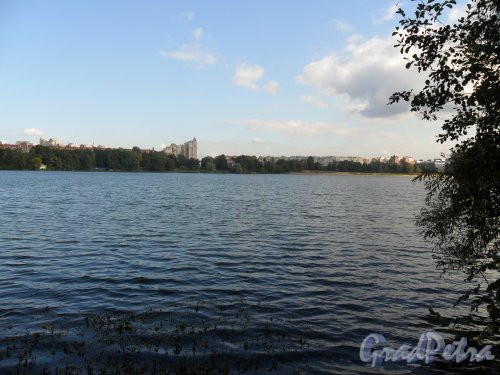 Верхнее Суздальское озеро. Вид с Большой Озерной улицы. Фото 23 сентября 2013 года.