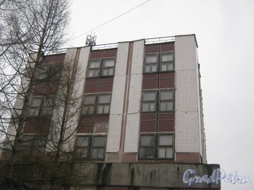Красное Село (Горелово), ул. Заречная, дом 4а. Фрагмент здания. Фото 4 января 2014 г.